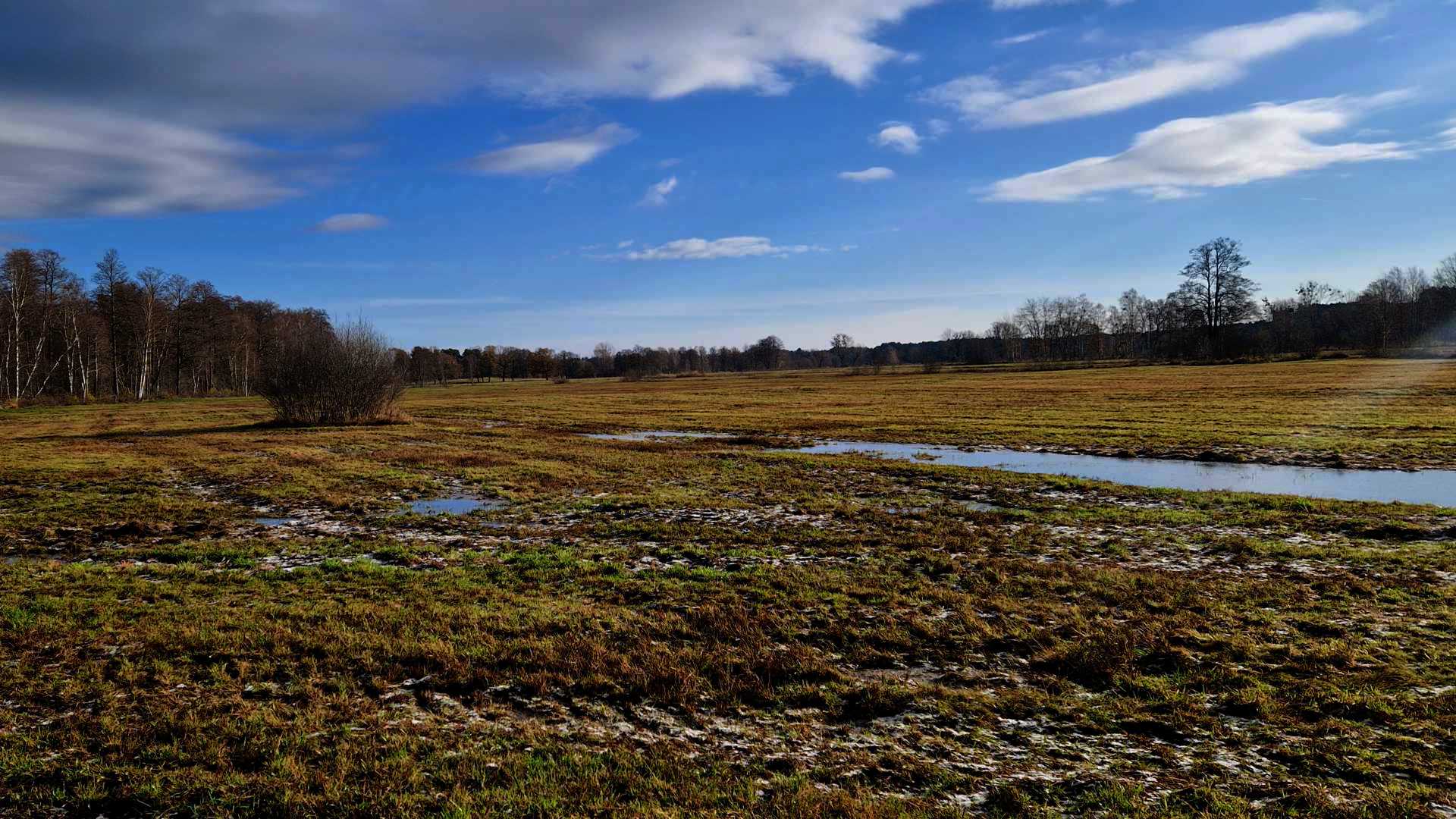 Moor-PV - Photovoltaik-Anlagen auf wiedervernässten Moorböden 